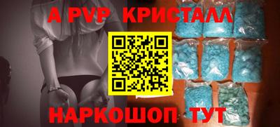 индика Кингисепп
