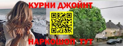 индика Кингисепп
