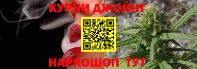 индика Кингисепп