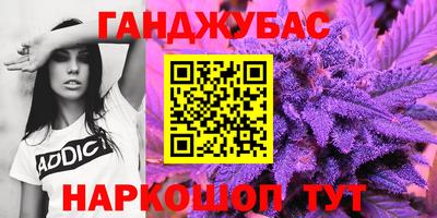 индика Кингисепп