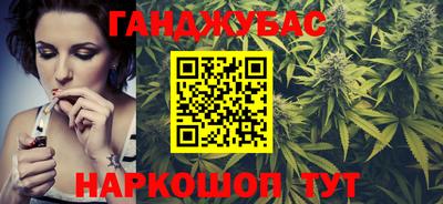 индика Кингисепп