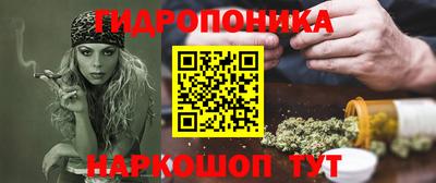 индика Кингисепп