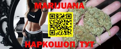 гидра Кинель
