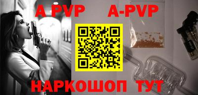 индика Кингисепп