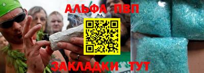 индика Кингисепп