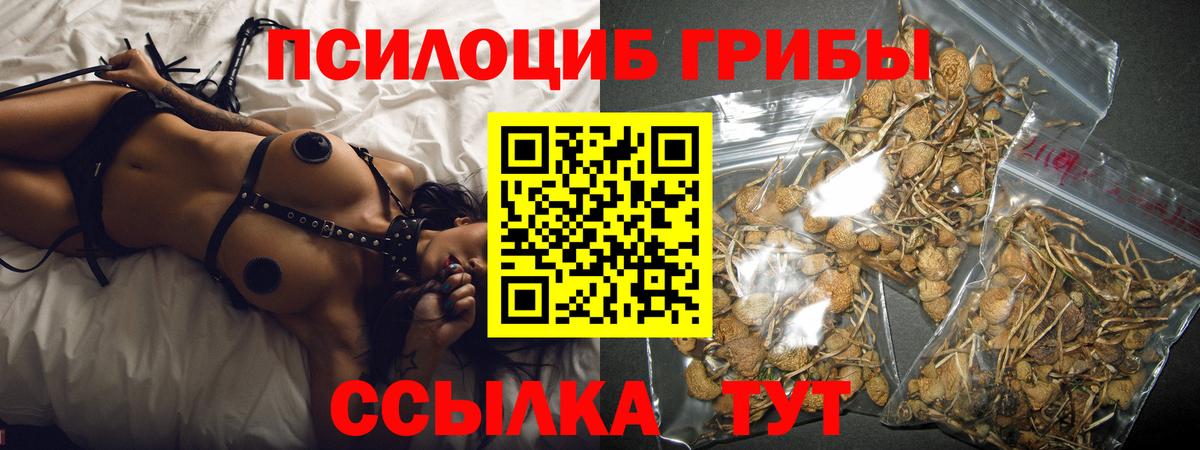 Псилоцибиновые грибы мицелий  Вход с VPN  Кисловодск 